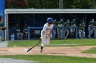 Baseball vs Babson NEWMAC Finals  Wheaton College vs Babson College play in the NEWMAC baseball championship finals. - (Photo by Keith Nordstrom) : Wheaton, baseball, NEWMAC, Babson